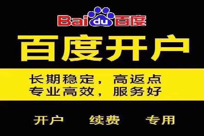 SEM服务托管：经典案例分析及优化策略